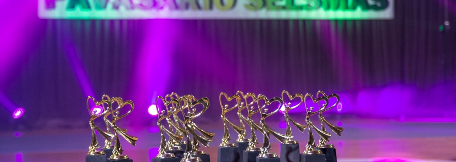 2019-05-09 Meninė gimnastika festivalyje “Pavasario šėlsmas”