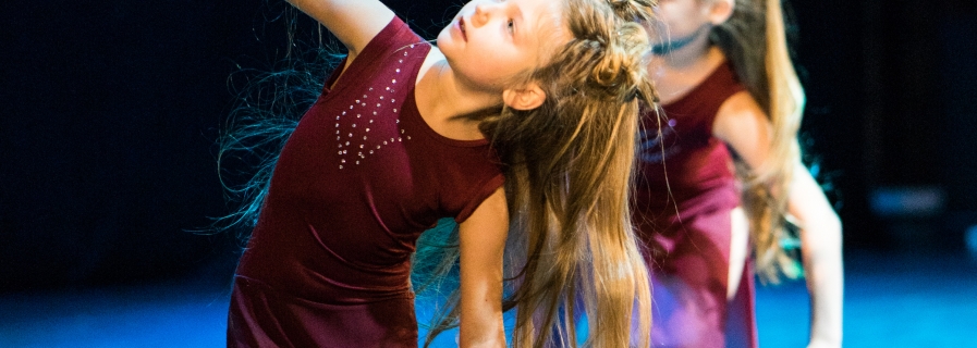 2020-02-13 BALETO GIMNASTIKA IR ŠIUOLAIKINIO ŠOKIO GRUPĖS DALYVAVO FESTIVALYJE “ŠOK 2020”