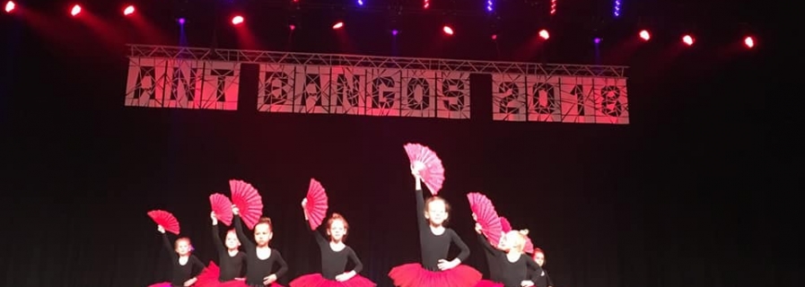 2018-06-04 Baleto gimnastika Palangos festivalyje “Ant bangos’ 2018”