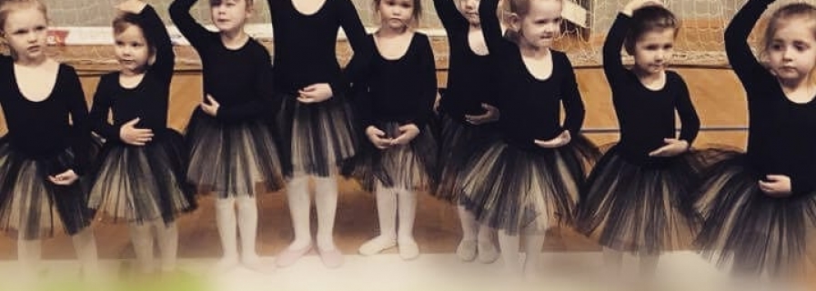 2018-06-04 Gimnastikos grupės festivalyje “Pavasario šėlsmas”
